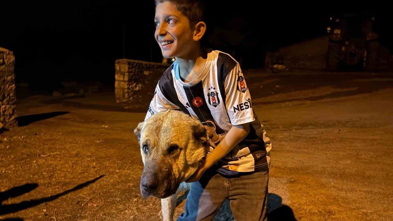 Erzurum'da kangal 'Kral' iki ayının saldırısından 10 yaşındaki Sencar'ı kurtardı