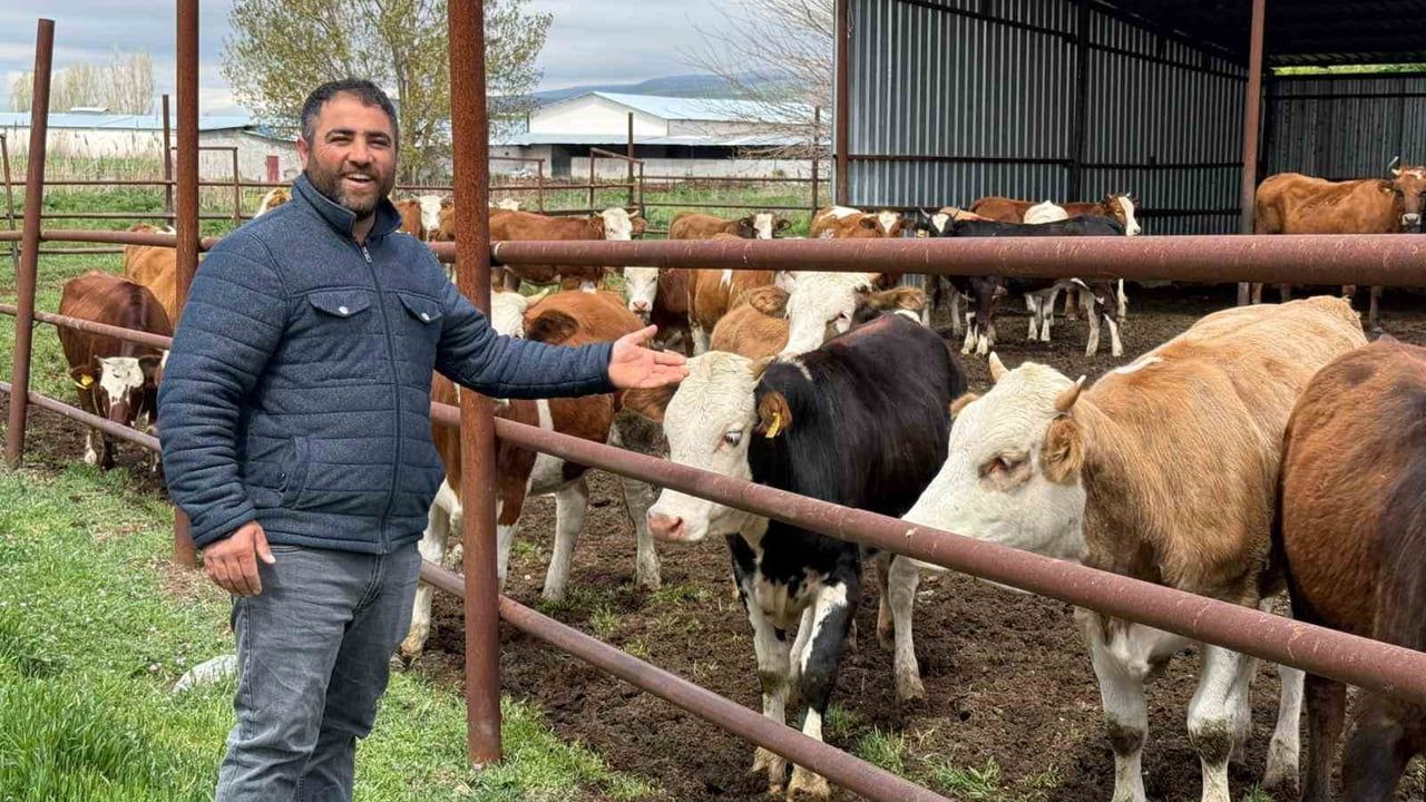 Eskişehir'de Büyükbaş Kurbanlıkların Çoğu Tükendi: Üretici Bekir Türkmen'den Uyarı