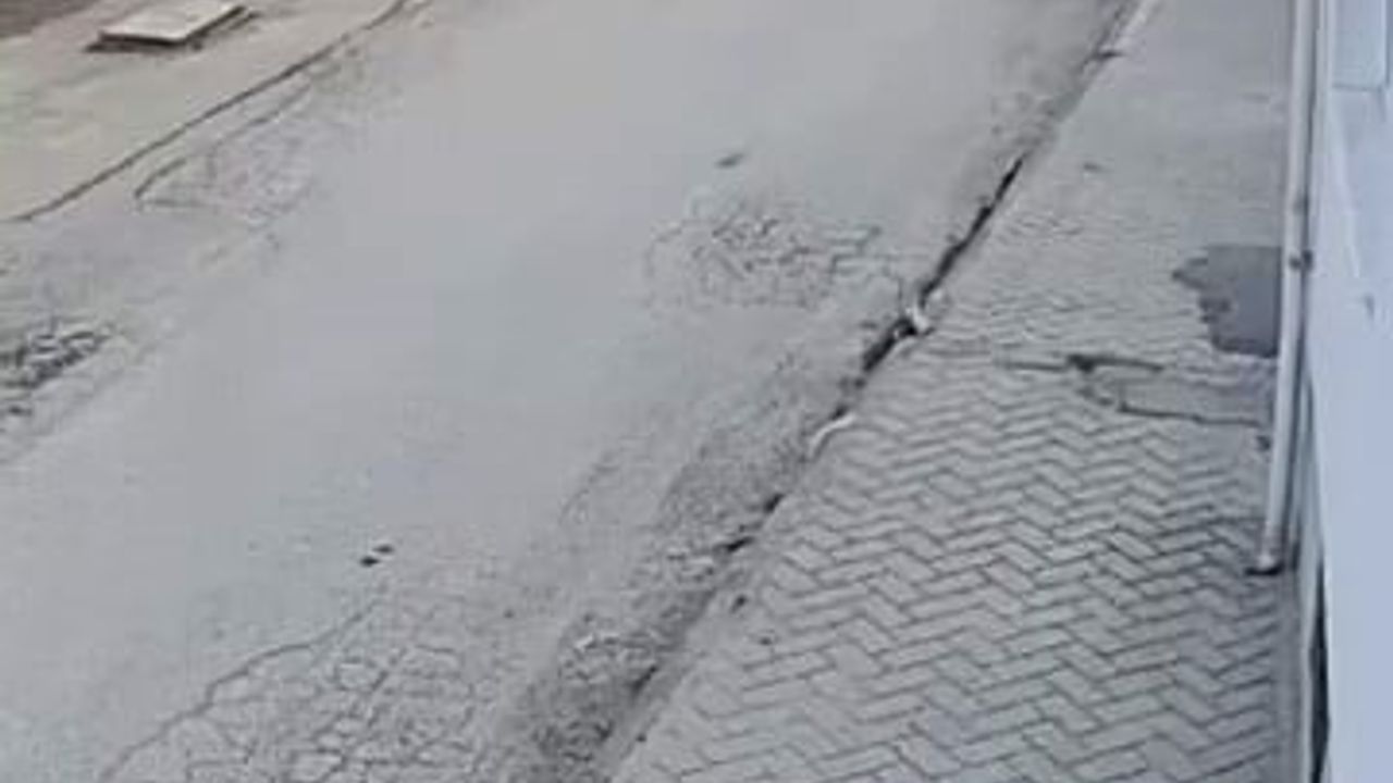 Eskişehir'de sokak köpeğinin ani havlaması küçük çocuğu korkuttu