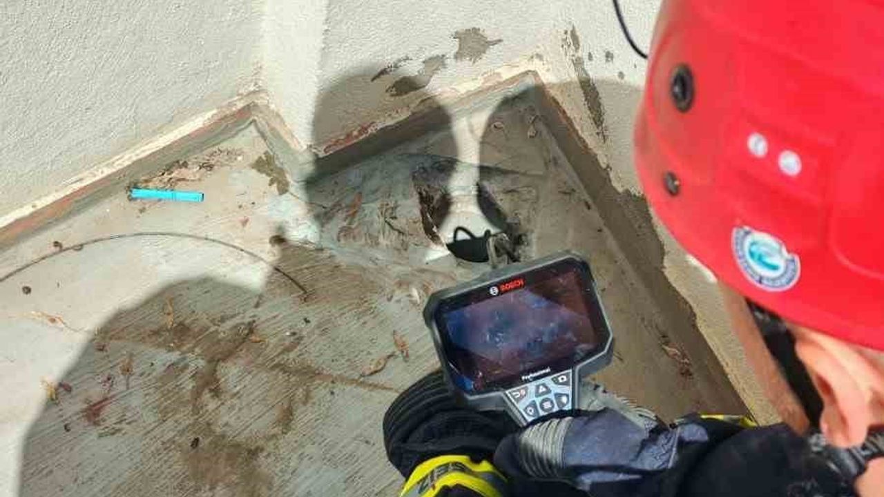 Eskişehir'de su borusuna düşen 3 yavru kedi itfaiye ekiplerince kurtarıldı