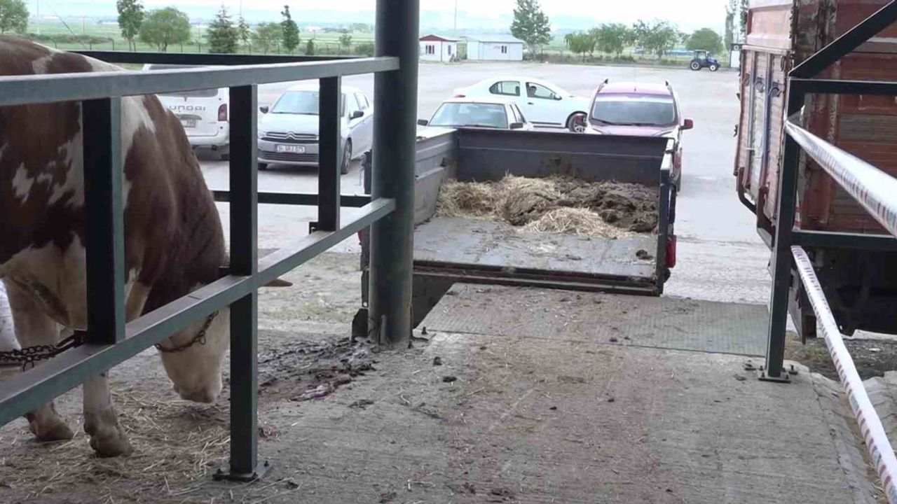 Eskişehir Kurban Pazarı'nda Satıcıların Çadır ve Altyapı Sorunları