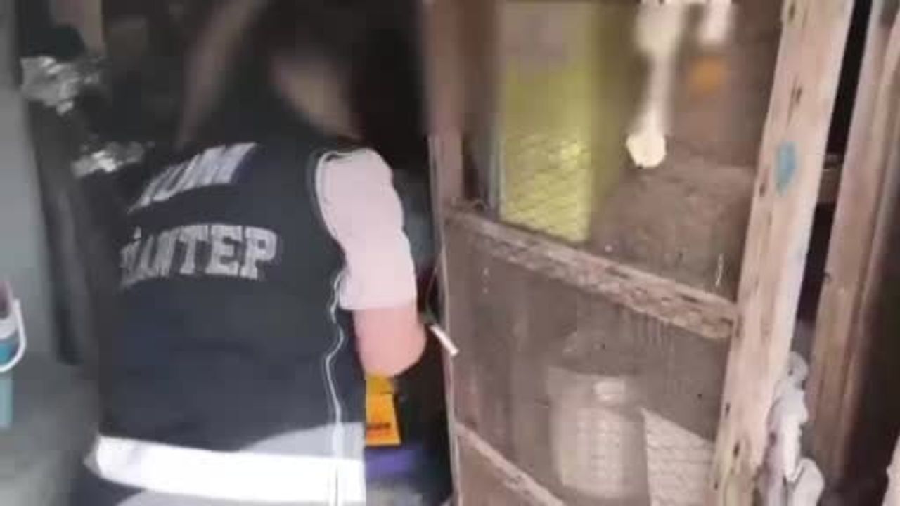 Gaziantep'te operasyonda 6 ruhsatsız silah ele geçirildi; 1 kişi gözaltında