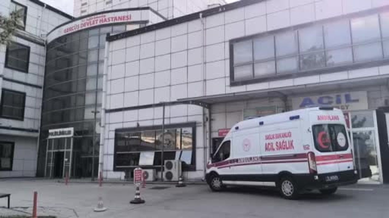 Gercüş’te doğadan toplanan mantarı yiyen 82 yaşındaki N.S. hastaneye kaldırıldı