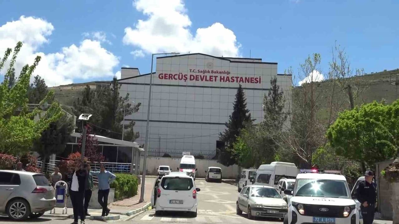 Gercüş'te piknikte akrep sokması: 46 yaşındaki kadın hastaneye kaldırıldı