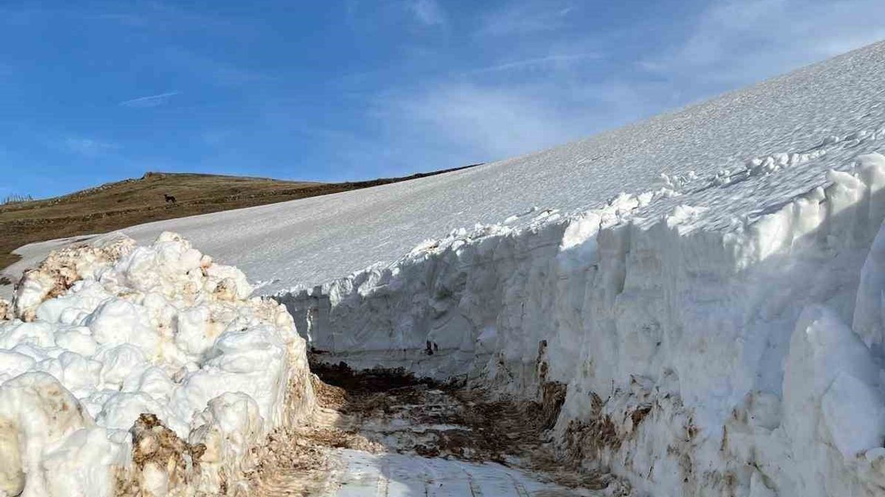 Giresun'da Kulakkaya ve Bektaş Yaylalarında Mayıs Ayında Karla Mücadele