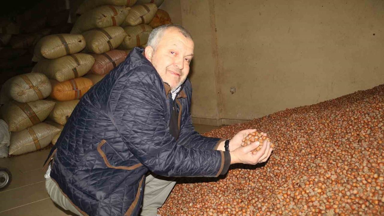 Giresun'da Kurban Bayramı Öncesi Fındık Fiyatları Geriledi