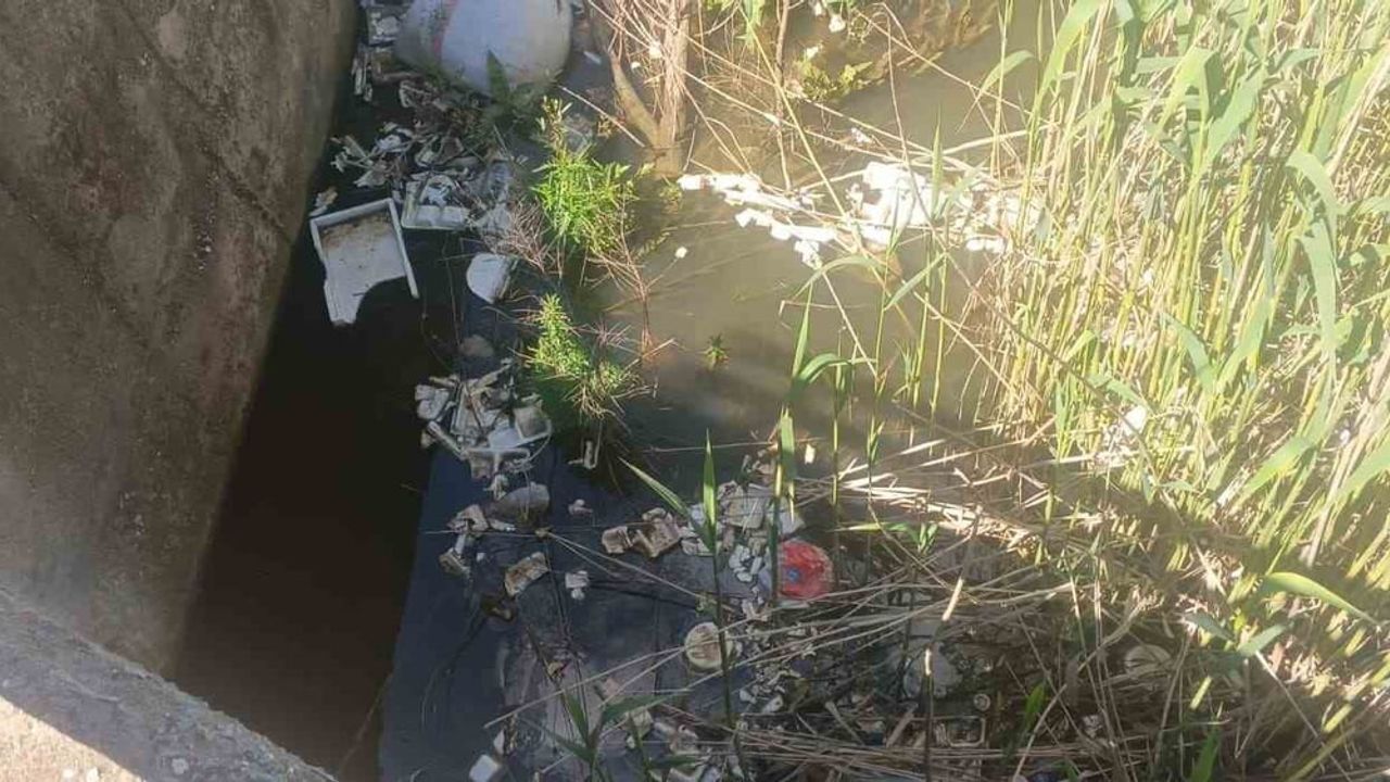 Gölbaşı Karaburun Köyü sakinleri su kanallarının temizlenip ilaçlanmasını talep ediyor