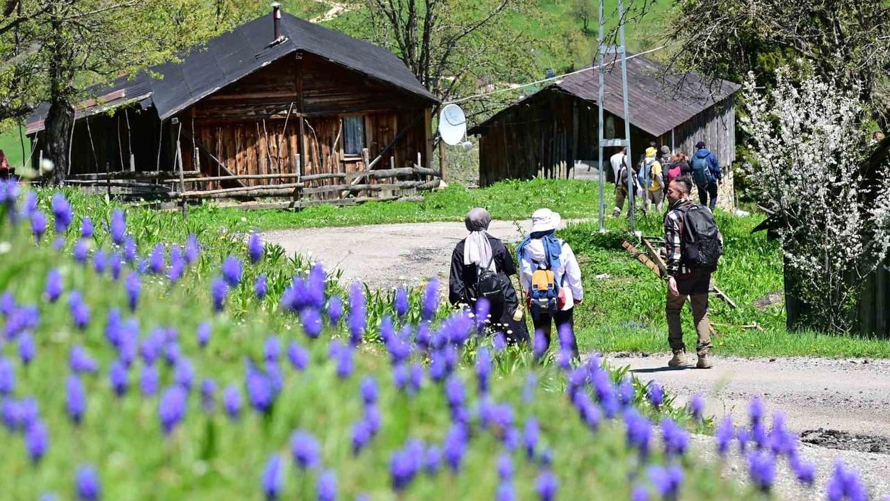 Gümüşhane'de 62 doğasever Sazalanı-Damlı parkurunda 12 km yürüdü