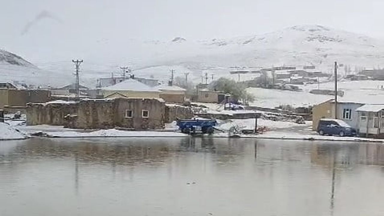 Gürpınar’da Mayıs Sonunda Kar Yağışı Yüksek Rakımlı Mahalleleri Beyaza Bürüdü