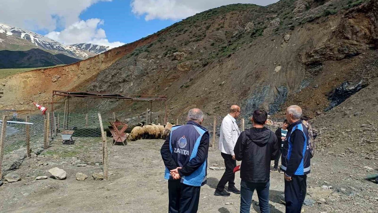 Hakkari'de Kurban Pazarı Açıldı: Karşıyaka Gopsi Mevkii'nde Satışlar Başladı