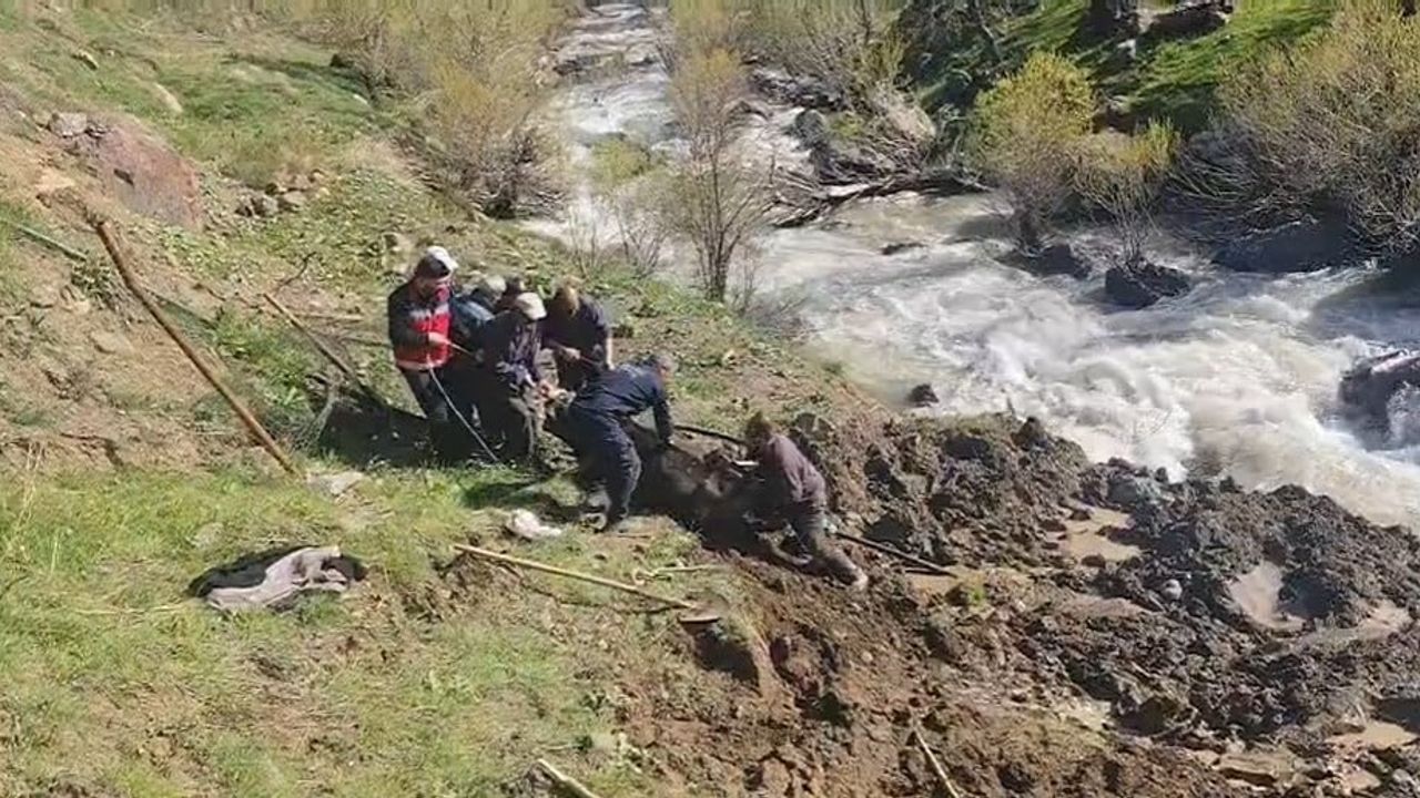 Hakkari Otluca'da Bataklığa Saplanan İnek, İtfaiye ve Vatandaşların İşbirliğiyle Kurtarıldı
