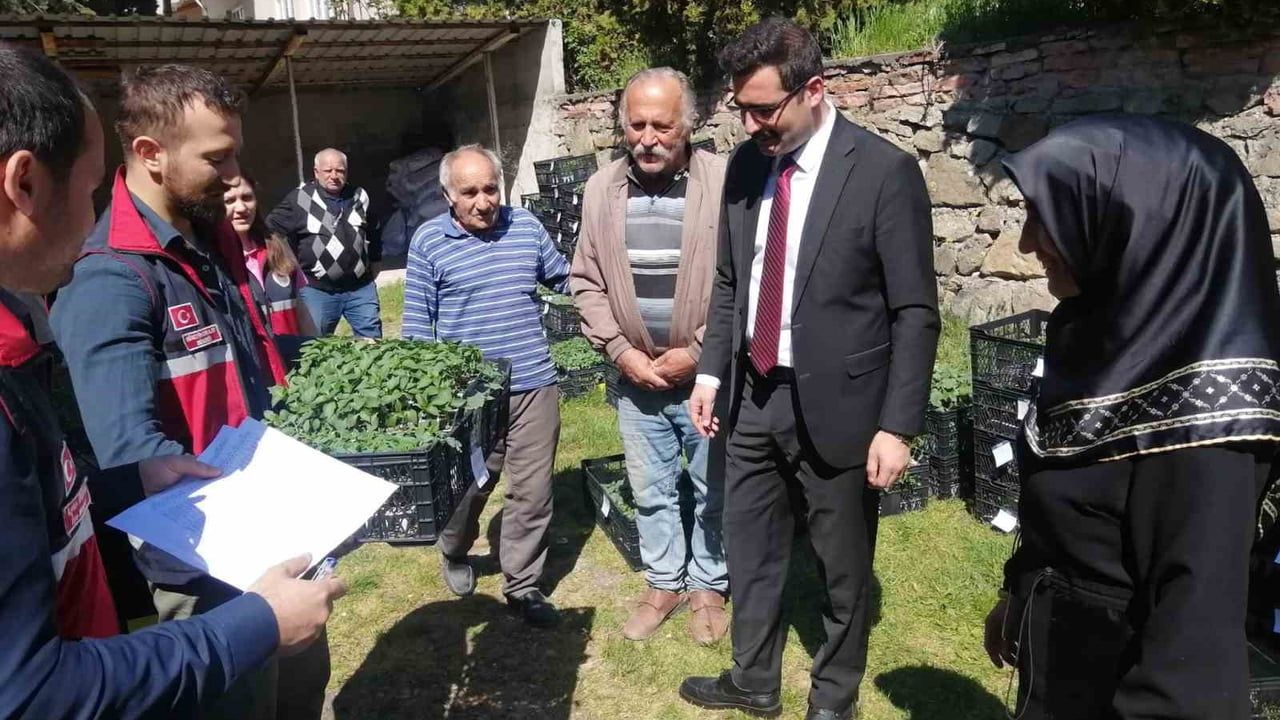 Hanönü'de 160 kişiye 30 bin domates, biber ve salatalık fidesi dağıtıldı