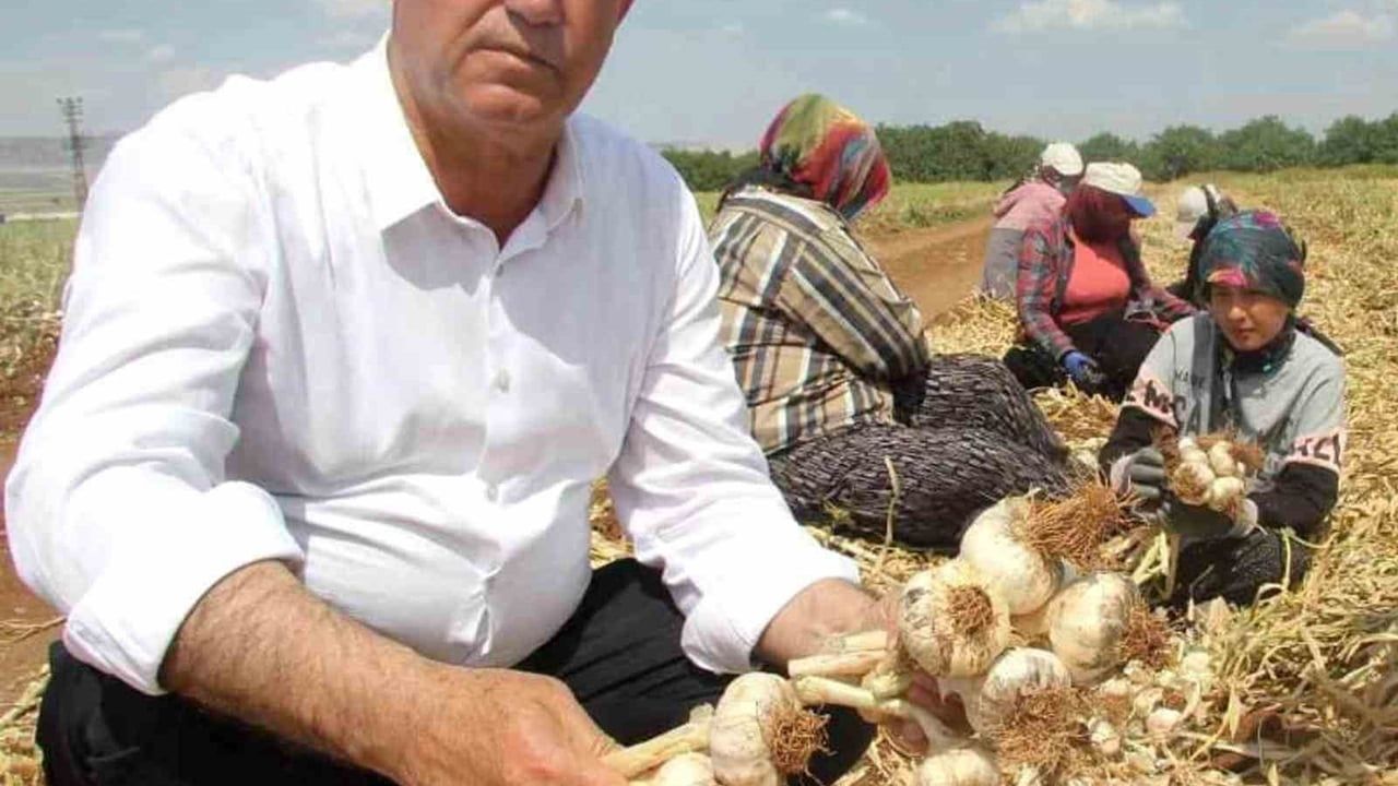 Hasan Altun’dan 14 Mayıs Dünya Çiftçiler Günü mesajı