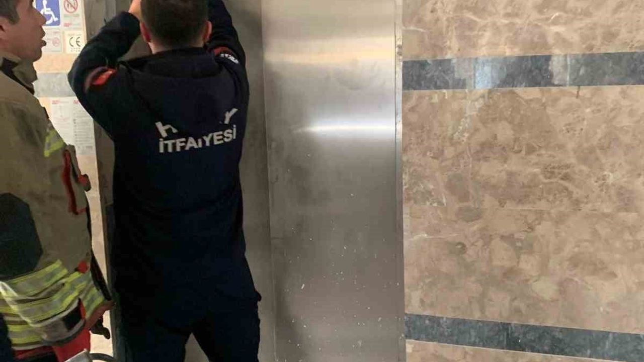 Hatay'da asansör boşluğuna düşen yavru kedi itfaiye tarafından kurtarıldı