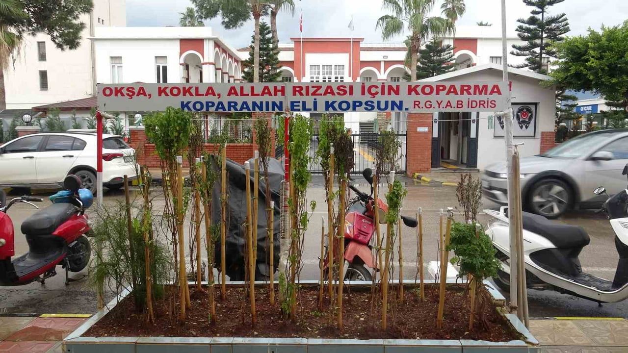 Hatay'da berber İdris Özbek, annesinin sevdiği reyhanı 40 yıldır işyeri önünde yaşatıyor