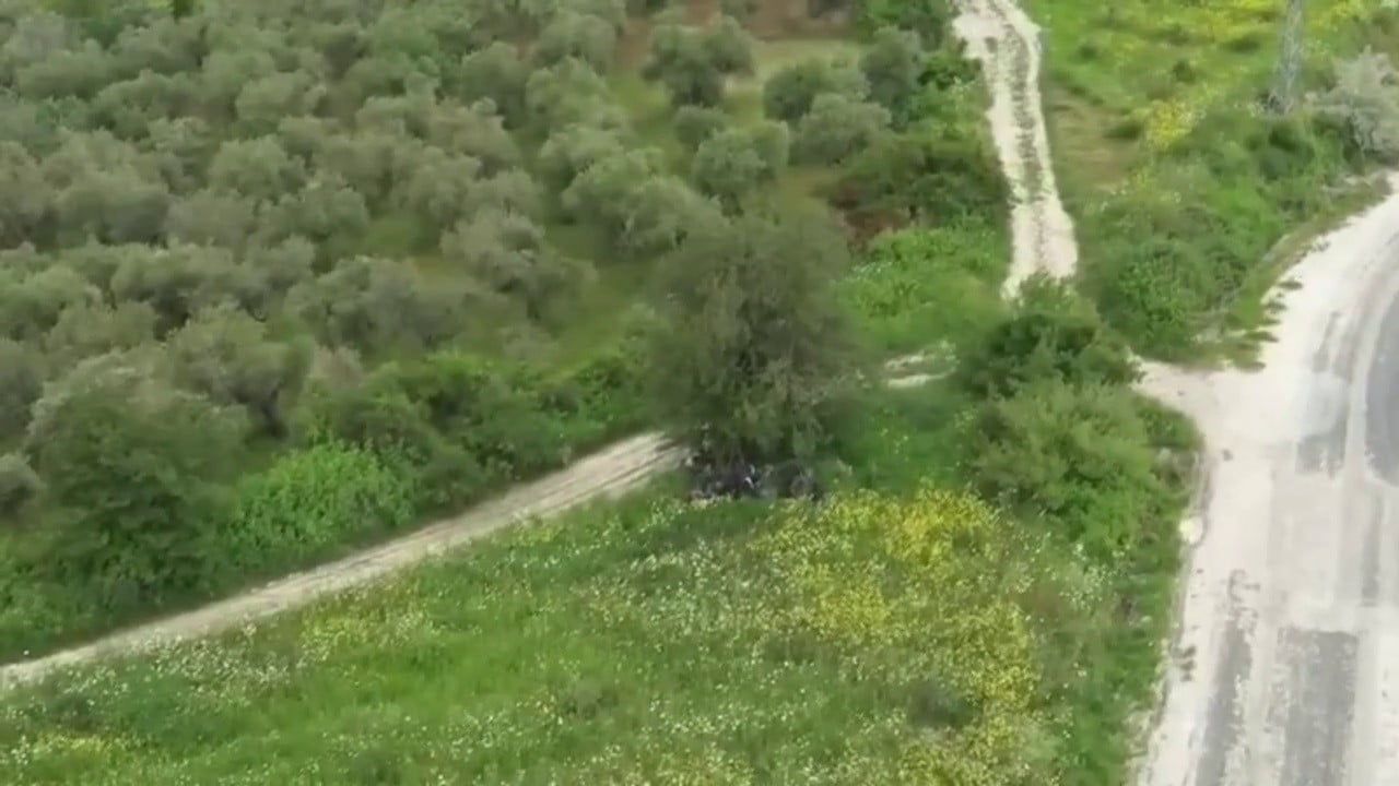 Hatay'da dron destekli operasyon: Ağaç altında saklanan 42 göçmen yakalandı