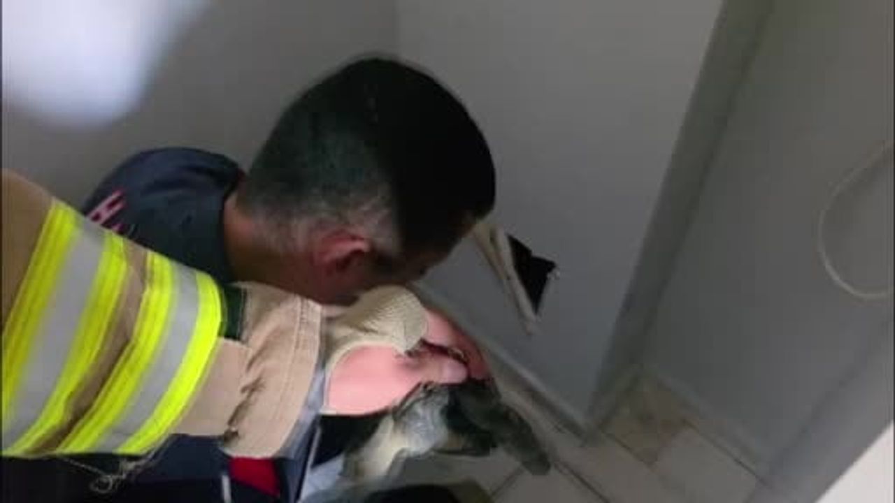 Hatay'da havalandırma boşluğuna düşen yavru kediler itfaiye tarafından kurtarıldı