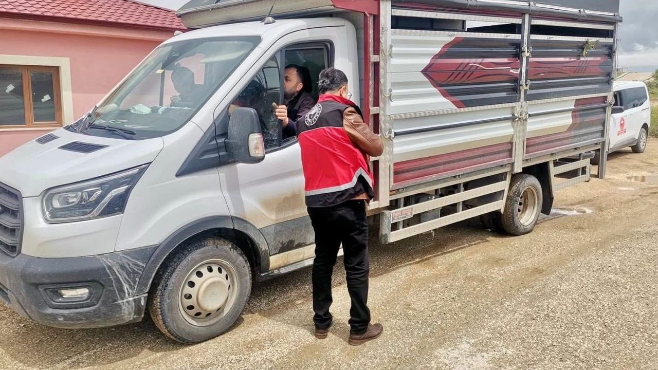 Hatay'da Kurban Bayramı Öncesi Hayvan Denetimleri Sürüyor