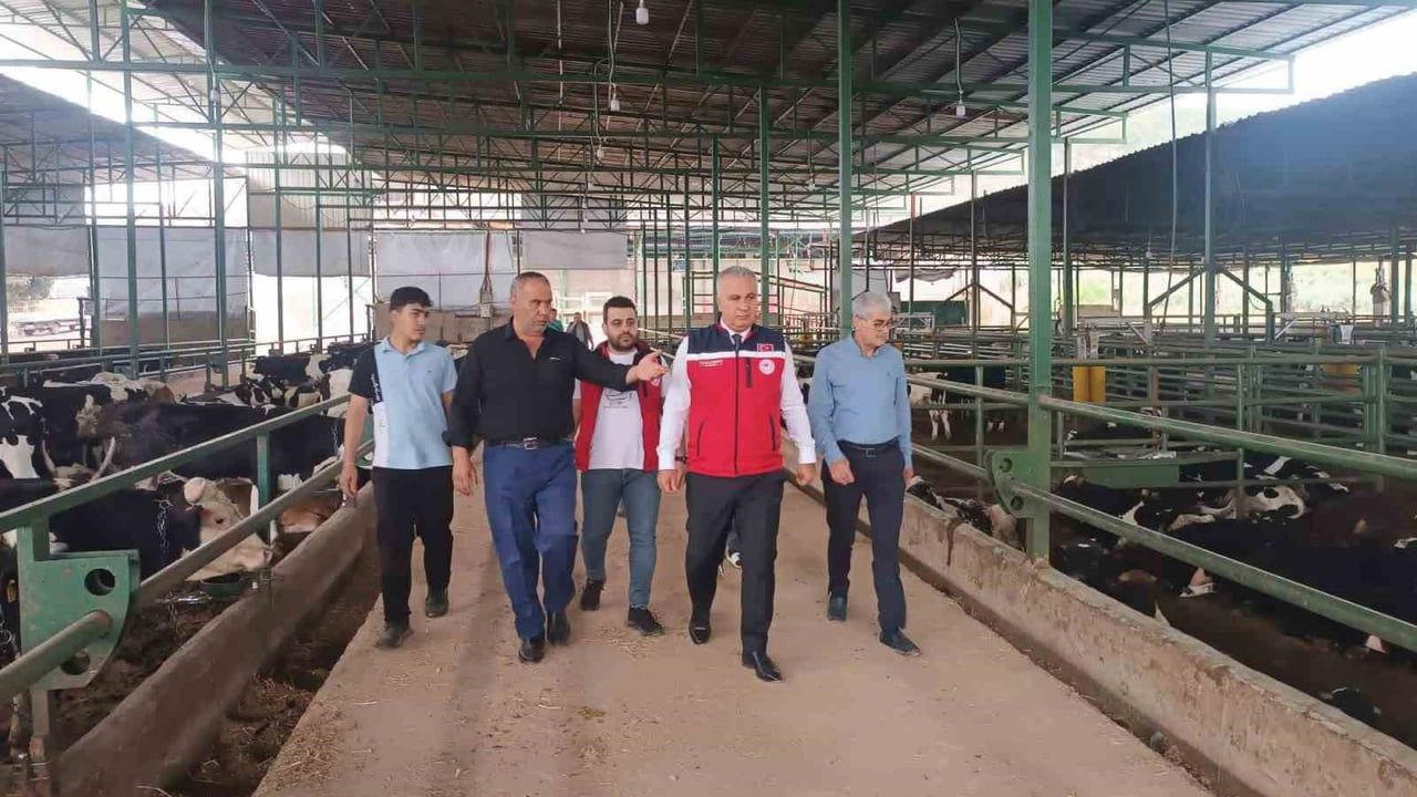 Hatay'da Kurban Bayramı Öncesi Hayvan Satış Yerlerinde Sıkı Denetim