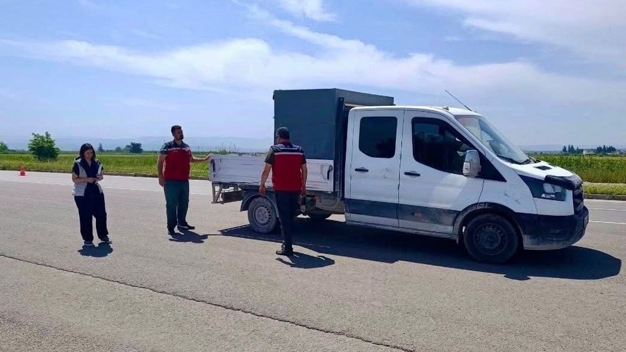 Hatay'da Kurban Bayramı Öncesi Hayvan Sevkiyatlarına Sıkı Denetim