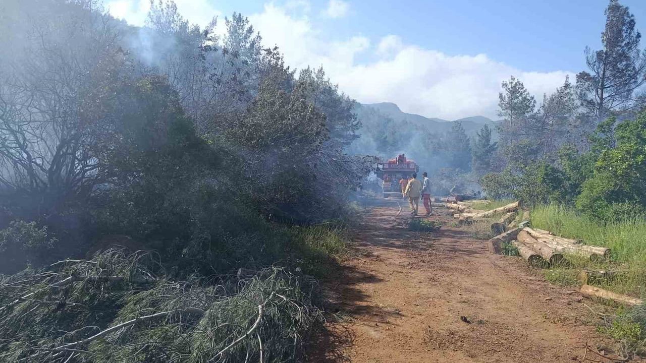 Hatay Kırıkhan'da orman yangını kontrol altına alındı