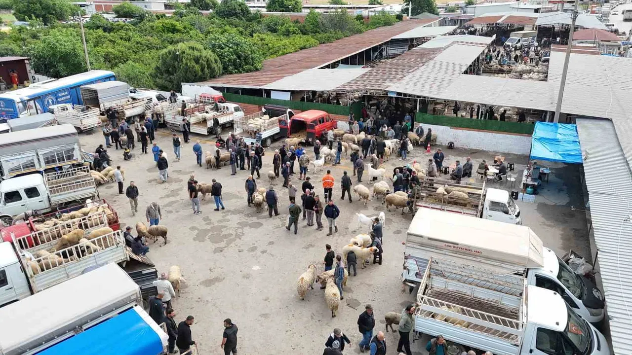 Havran Hayvan Pazarı’nda Arefe Yoğunluğu: 22 Dönümlük Yeni Alan Trafiği Rahatlattı