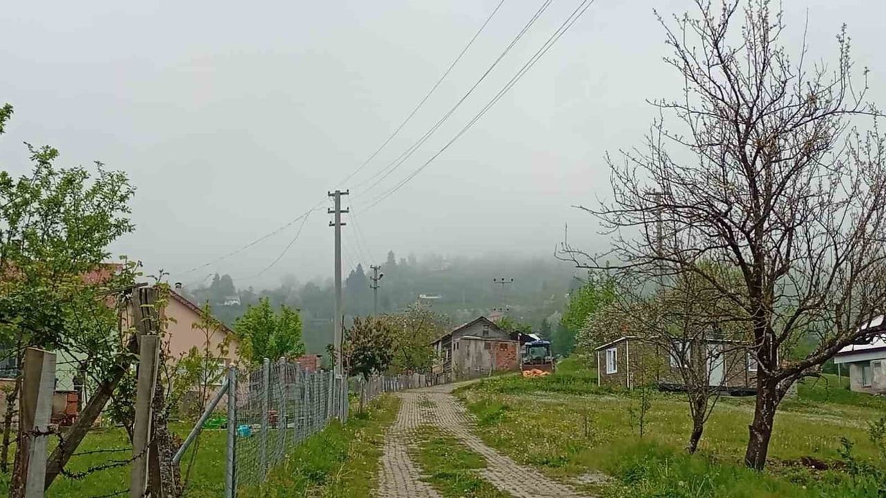 Hendek'in yüksek kesimlerinde bahar ve sis bir arada