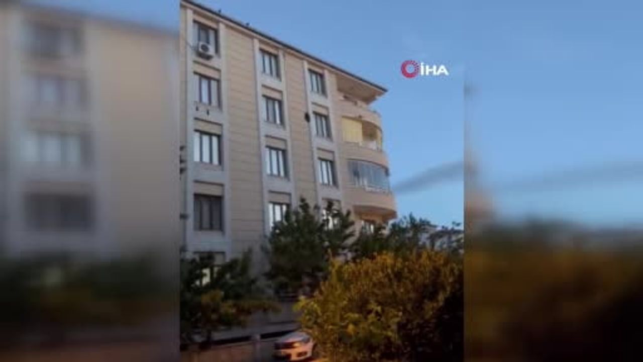 Iğdır'da 'saz delicesi' olduğu değerlendirilen yırtıcı kuş kargaların saldırısından kaçtı