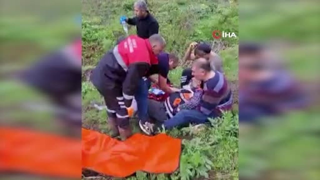İmranlı'da mantar toplarken ayı saldırısı: 45 yaşındaki M.Z.'nin parmağı koptu