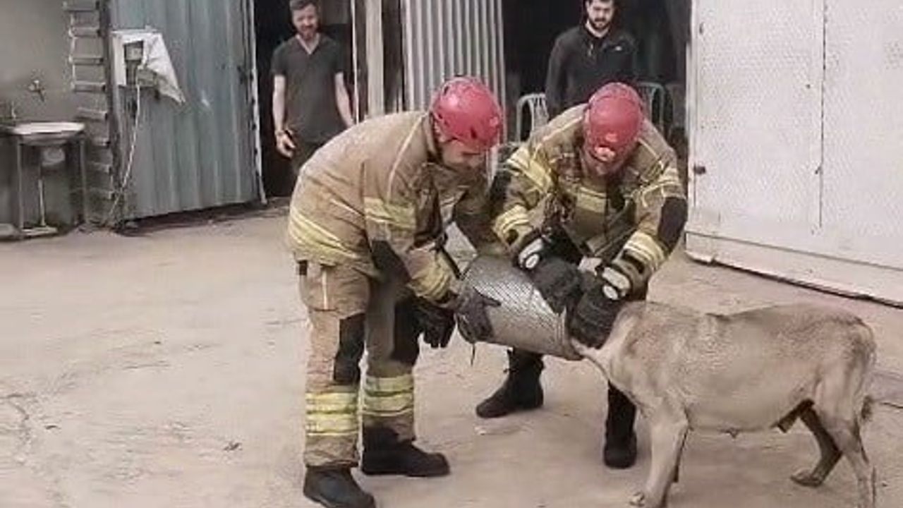 İnegöl'de hava filtresine sıkışan gebe sokak köpeği itfaiye tarafından kurtarıldı