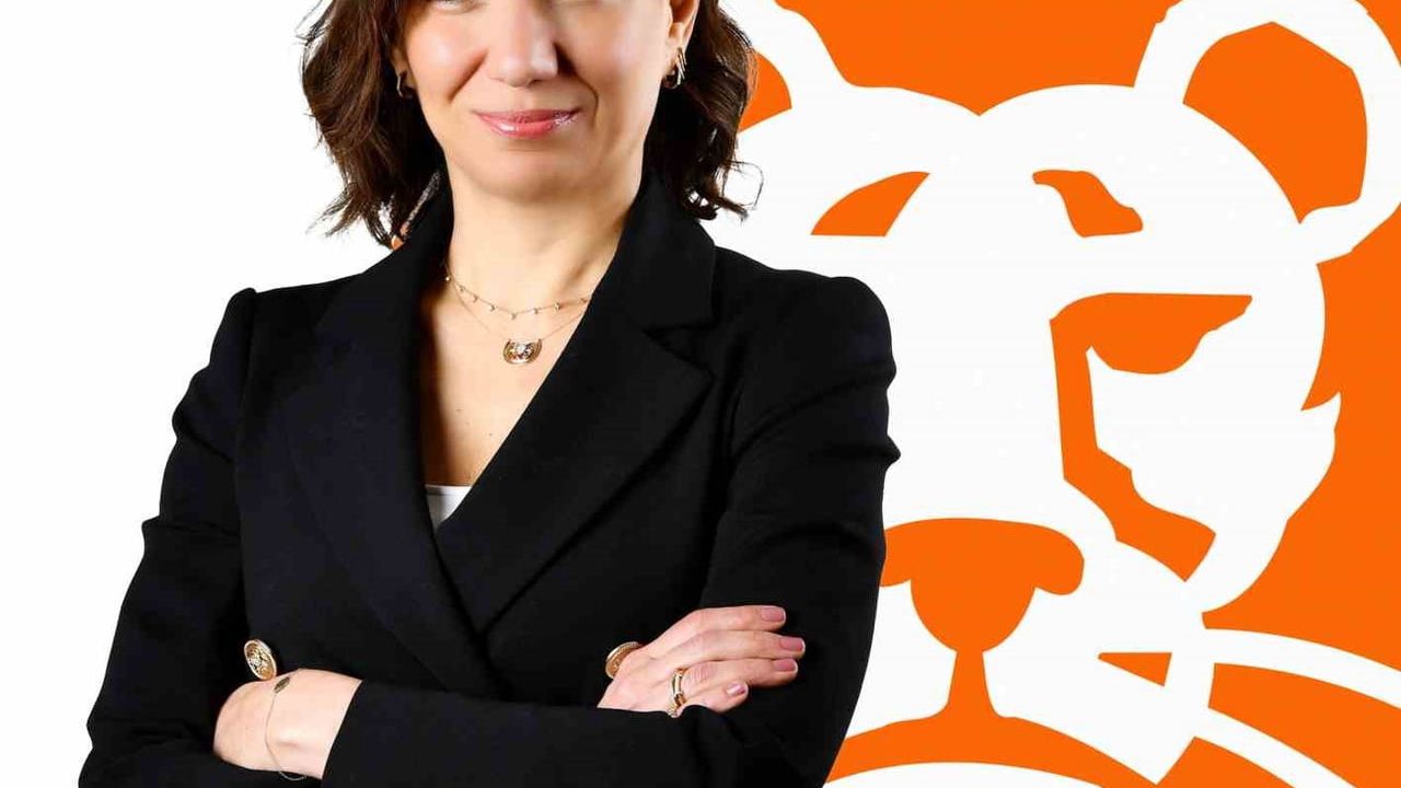 ING Türkiye'de Sezin Erken, Özel Bankacılık ve Yatırım Genel Müdür Yardımcılığına atandı