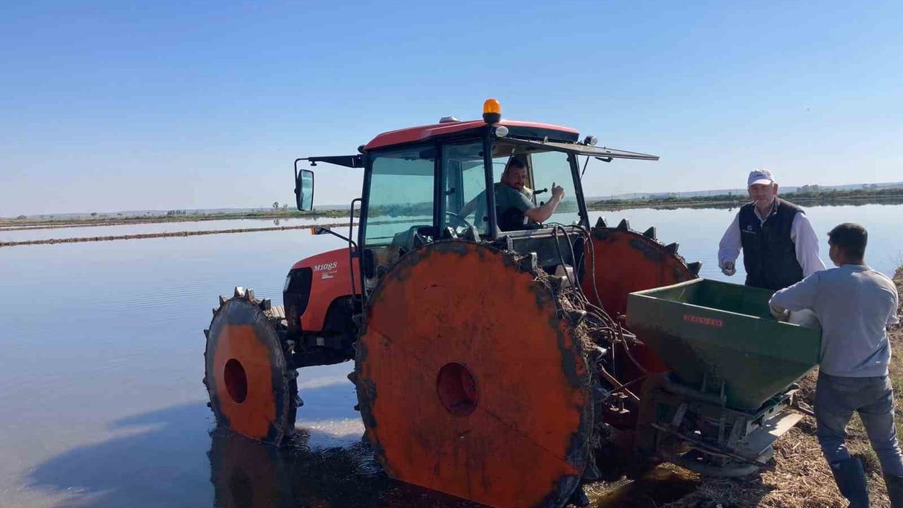 İpsala Ovası'nda çeltik ekimi başladı — Maritsa ve baldo tarlaya verildi