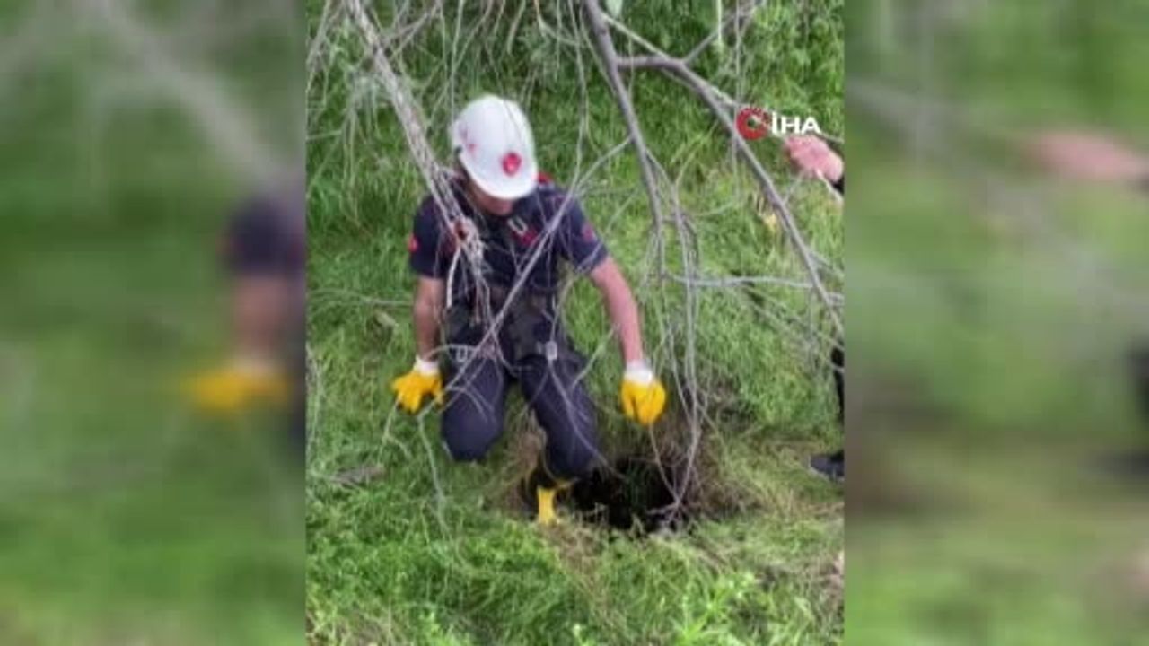 Isparta’da foseptik çukuruna düşen yavru köpek ve kaplumbağa itfaiye ekipleri tarafından kurtarıldı