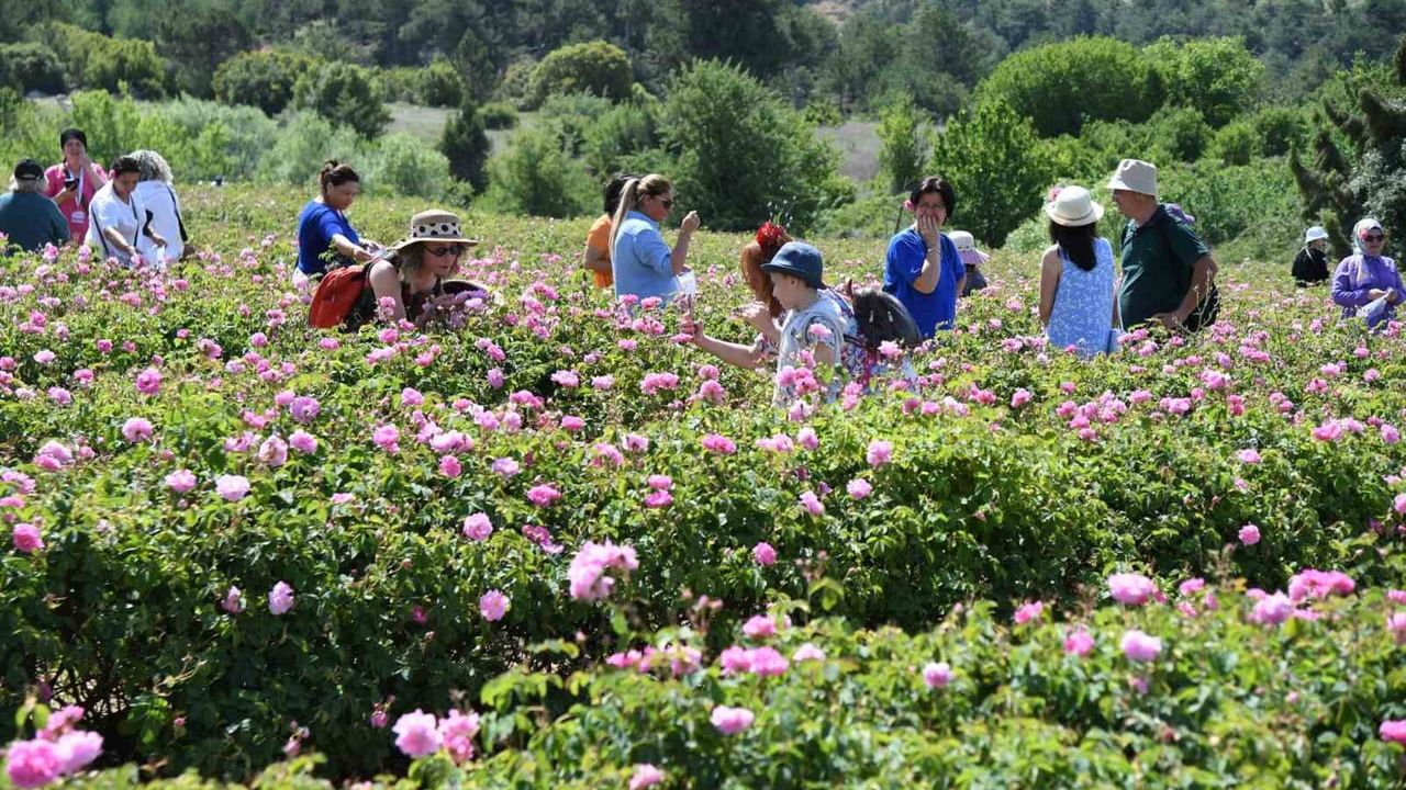 Isparta Uluslararası Gül Festivali 5-7 Haziran'da: Program ve Etkinlikler