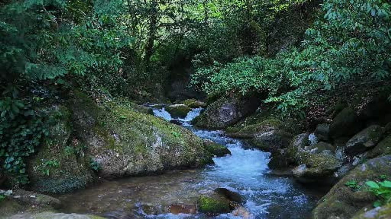 İstanbul'a Yakın Doğa Cenneti: İnönü Yaylası ve Müflizdere Şelalesi Baharda Canlanıyor