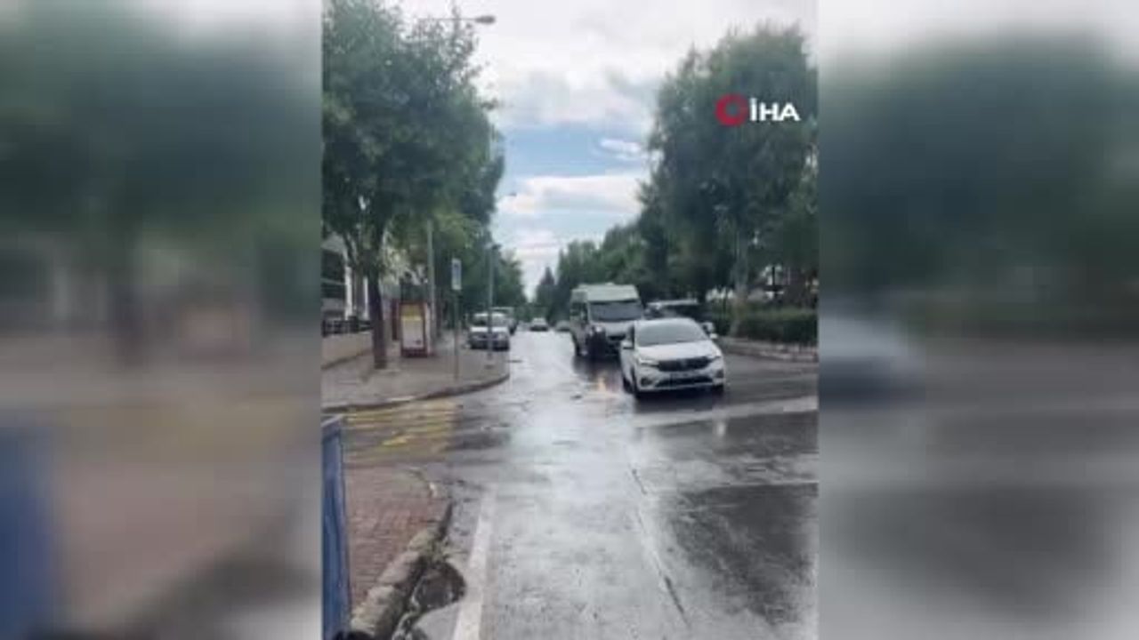 İzmir Buca’da 33 Ölü Kedi Vakası: Veteriner Hekim Serbest Bırakıldı, Başsavcılık İtiraz Etti