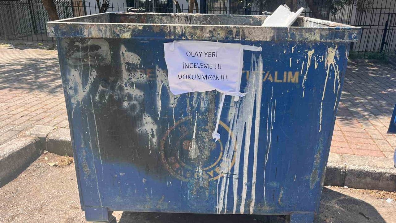 İzmir Buca'da çöp konteynerinde 33 ölü kedi bulundu; soruşturma başlatıldı