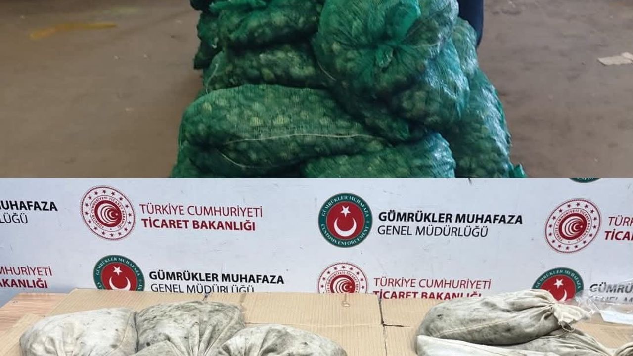 Kapıkule’de 760 kilogram kaçak akivades midyesi ele geçirildi