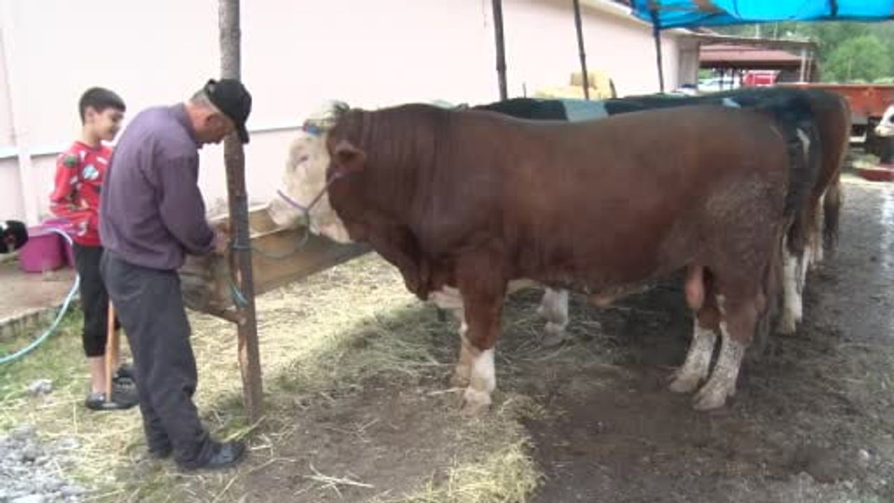 Karabük Kurban Pazarında Besicilere Sahte Para ve Güvenlik Uyarısı