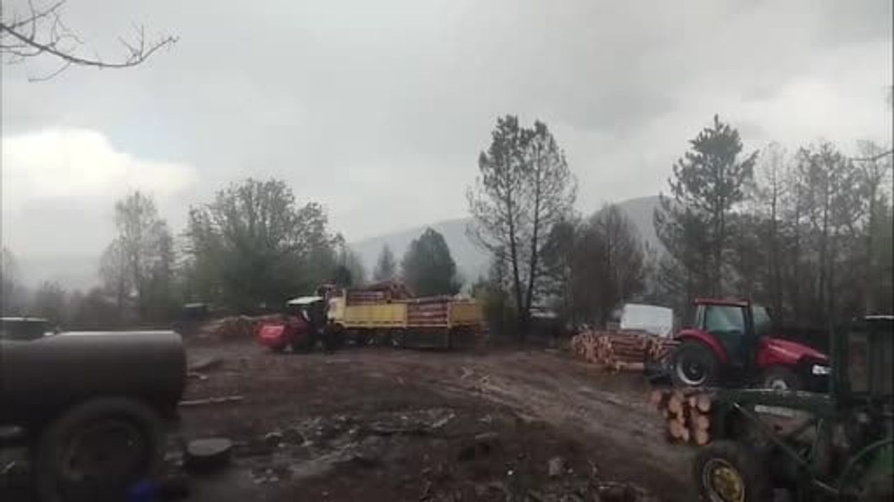 Karabük Ovacık'ta Orman İşçilerinin Yakınındaki Ağaca Yıldırım Düştü
