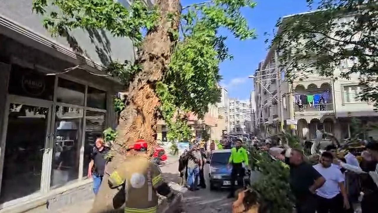 Karacabey'de Devrilen Ağaç Altında Kalan Motosiklet Sürücüsü Deniz Utkan Gürel Ağır Yaralı