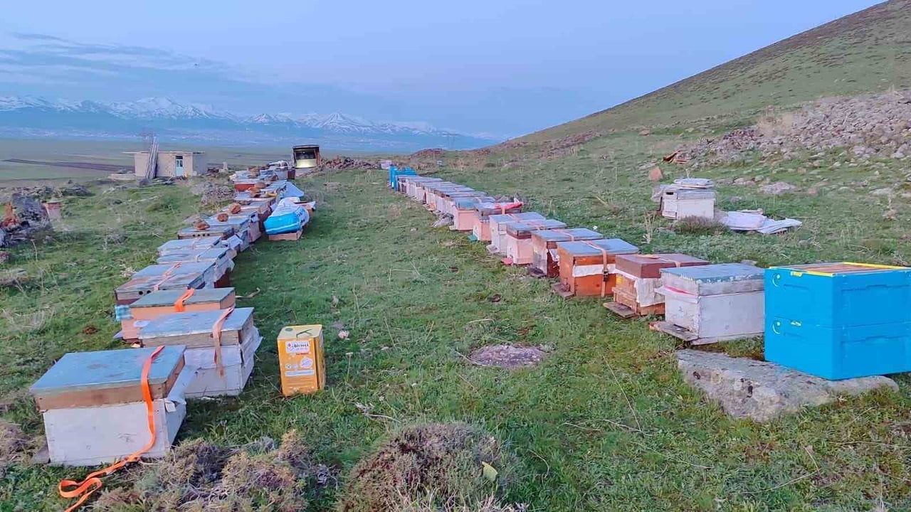 Karadeniz'in gezgin arıcıları yeni sezon için Erzurum yaylalarına göç etti