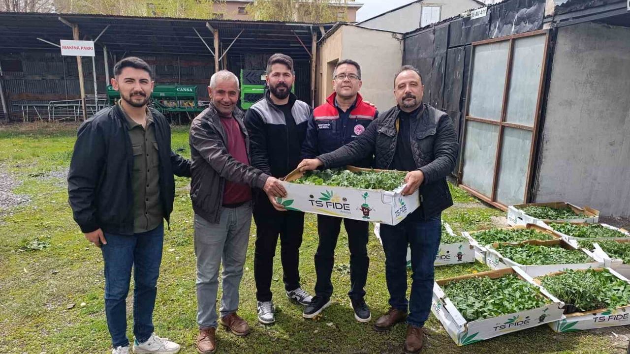 Kars'ta 2026 TAKE Projesiyle Sebze Fideleri Üreticilerle Buluştu