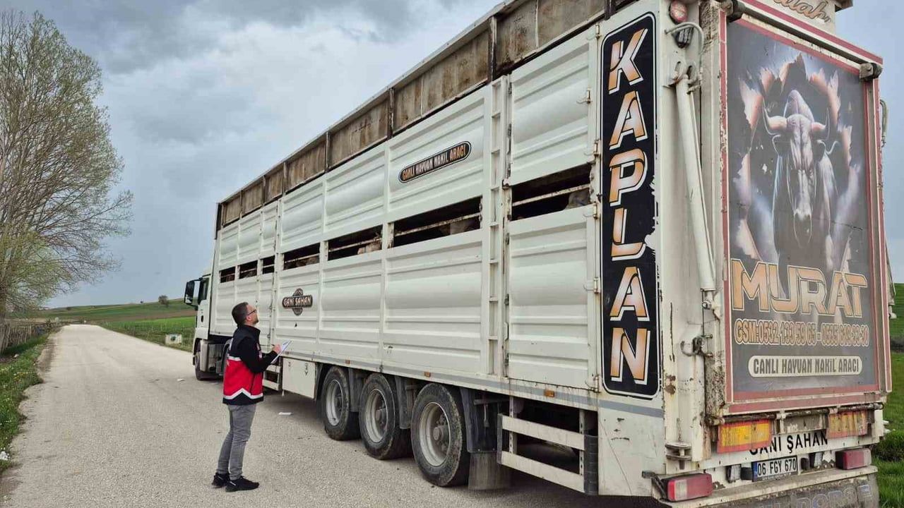 Kastamonu’da Kurbanlık Sevklerine Sıkı Denetim: İl Tarım ve Orman Müdürlüğü Kontrolleri Arttı