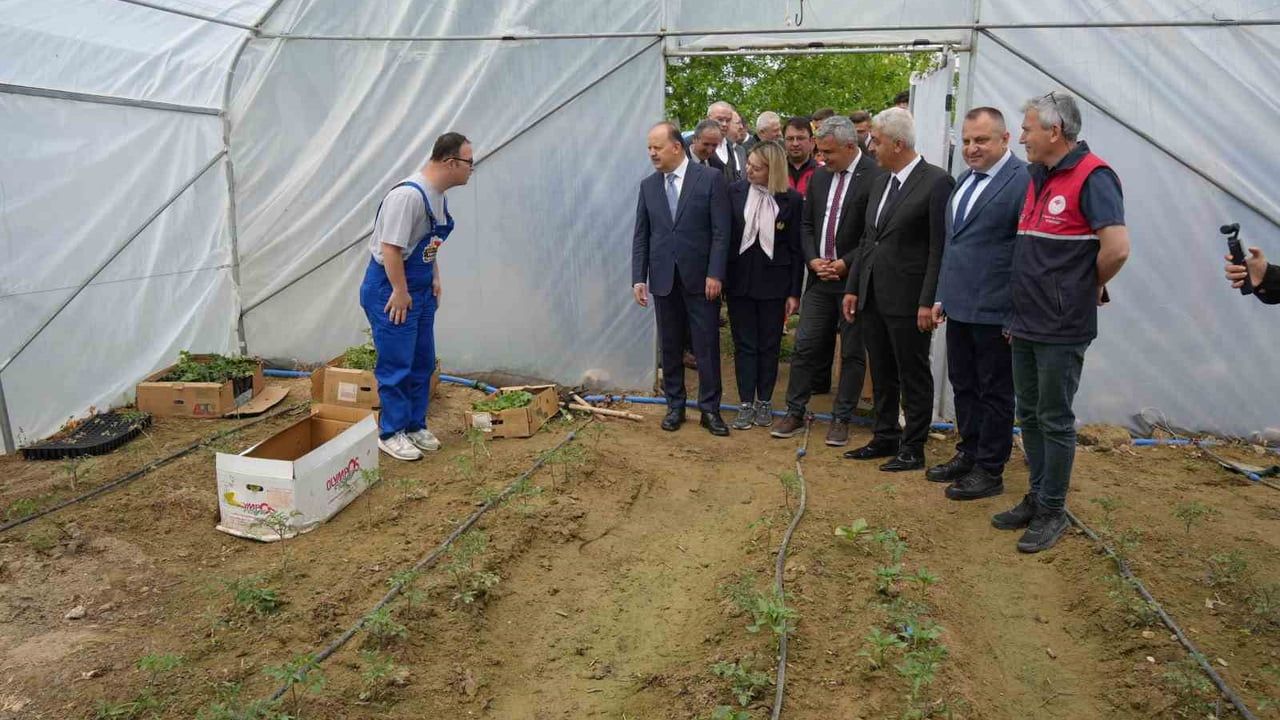 Kastamonu'da Şekerköy Projesi: Özel bireyler seracılıkla rehabilitasyona katılıyor