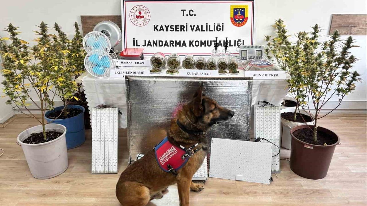 Kayseri'de jandarma operasyonu: 830 gram uyuşturucu ele geçirildi, 1 gözaltı