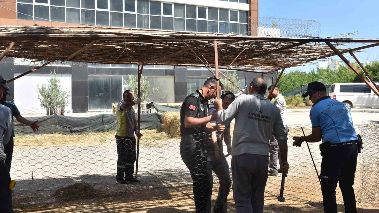 Kepez’te izinsiz kurban satışlarına kapsamlı denetim: Resmi olmayan satış noktaları kaldırıldı