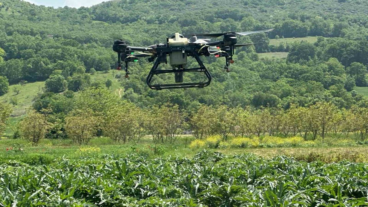 Kestel Belediyesi: Üreticilere dönüm başı 100 liraya drone ile sıvı gübreleme desteği