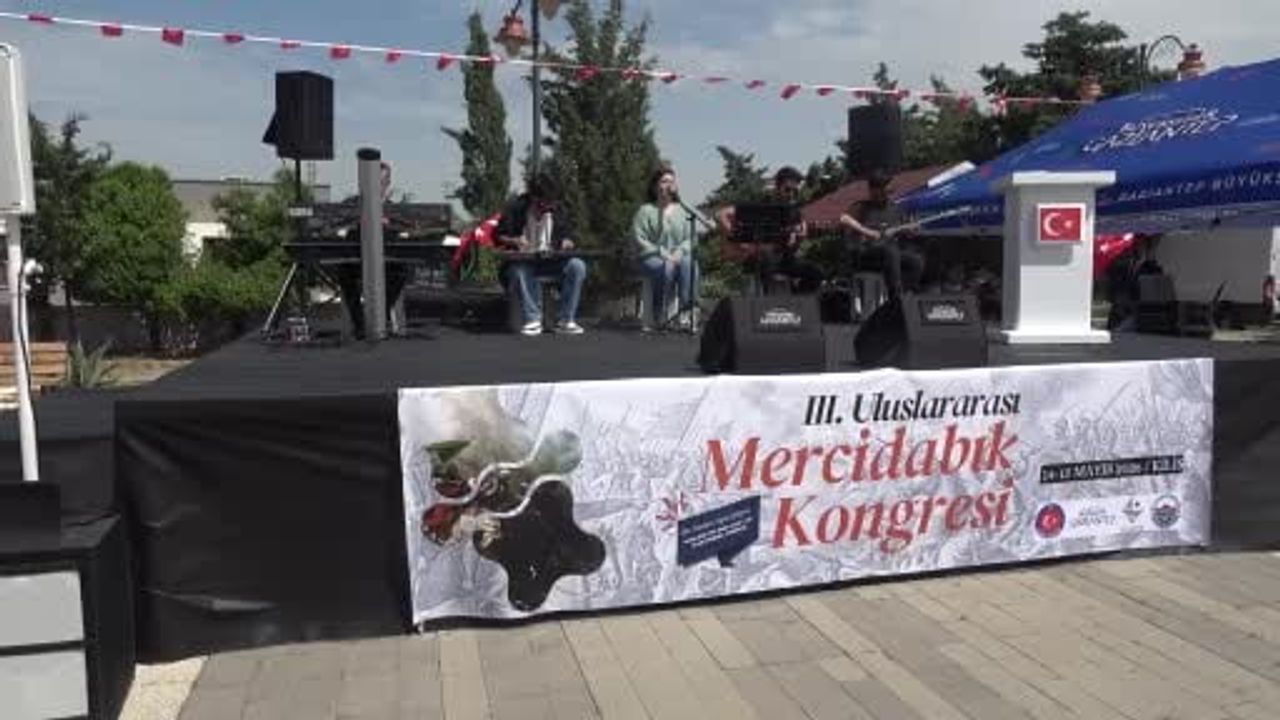 Kilis'te 3. Uluslararası Mercidabık Kongresi: Vali Kalaylı Zaferin Tarihsel Boyutlarını Anlattı