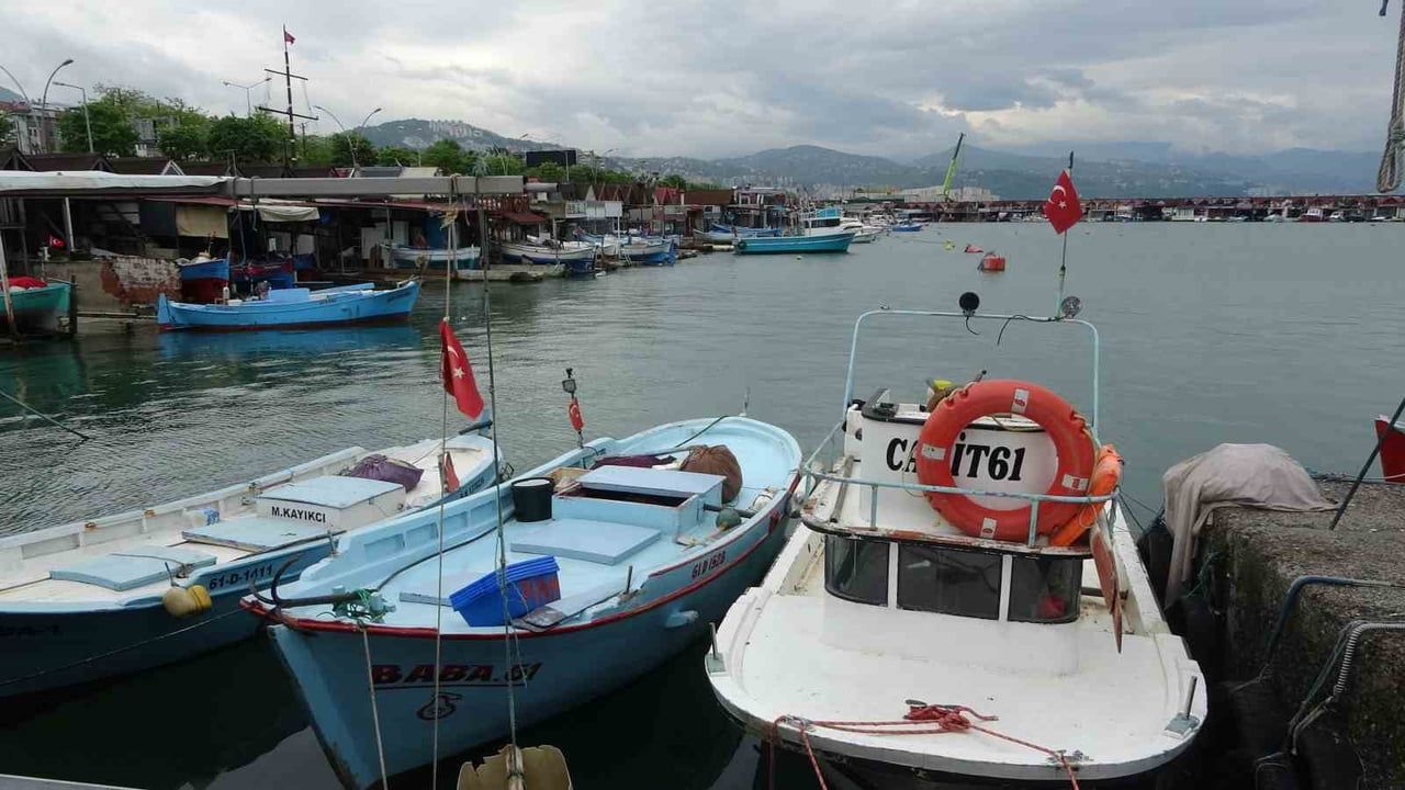 Kıyı balıkçıları: Eriyen kar suları ve yağış deniz sıcaklığını düşürdü, av verimi sınırlı